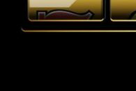 roulette casino